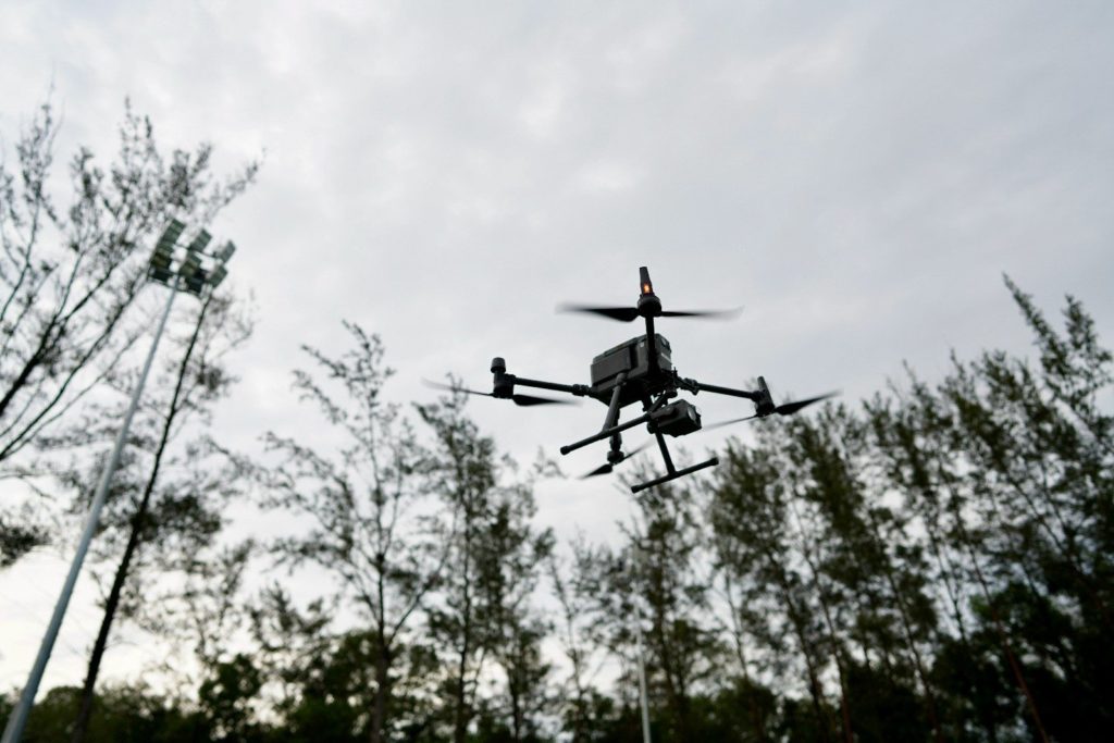 Favourites - 36 of 41