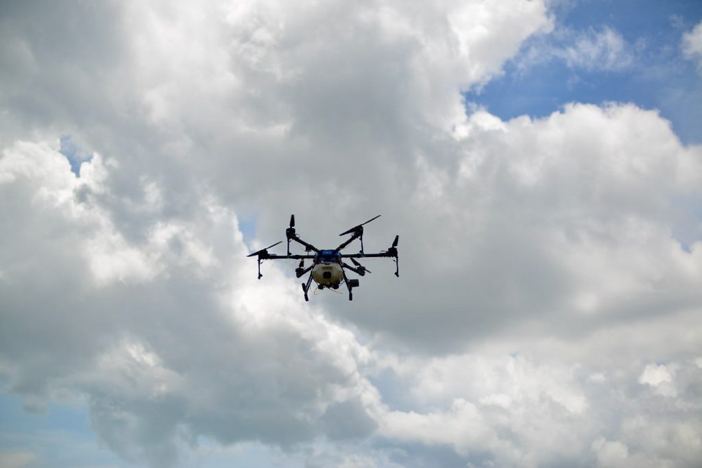 Favourites - 4 of 4-min