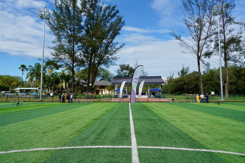 Favourites - 4 of 41